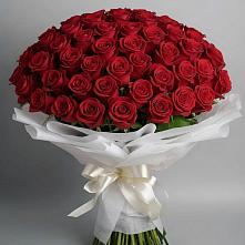 Букет 101 Красная роза Блэк Мэджик в Софрино