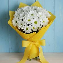 Букет цветов из:  Хризантемы в Софрино