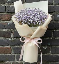 Букет цветов из:  Гипсофила в Софрино