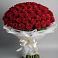 Букет 101 Красная роза Блэк Мэджик в Софрино