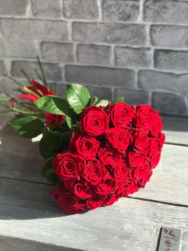 Букет Красные розы Фридом в Софрино