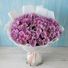 Букет цветов из:  Хризантемы в Софрино