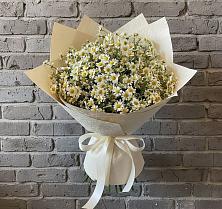 Букет цветов из:  Ромашки в Софрино