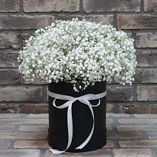 Цветочная композиция из Гипсофила в шляпной коробке #REPLACE_PRED# Софрино