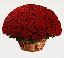 Премиум букет из: Розы в Софрино