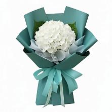 Букет цветов из:  Гортензия в Софрино